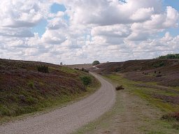 Kongenshus-mindepark-IMGP8361